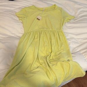 Pinkblush Light Green Textured Dress